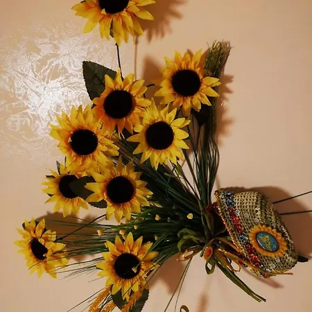 Ciuri Ciuri וילה