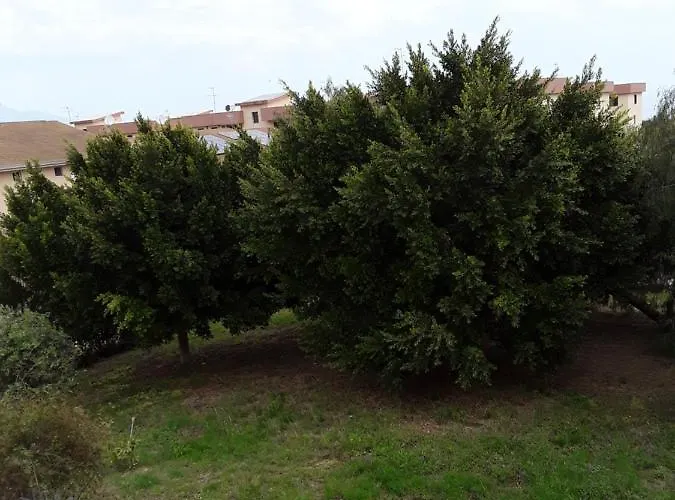 Ciuri Ciuri * Augusta